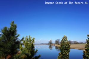 Dawson Creek at The waters